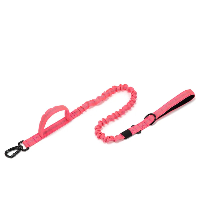 Durable Dog Collar Leash Set